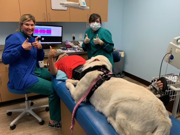 Scout the therapy dog in a chair